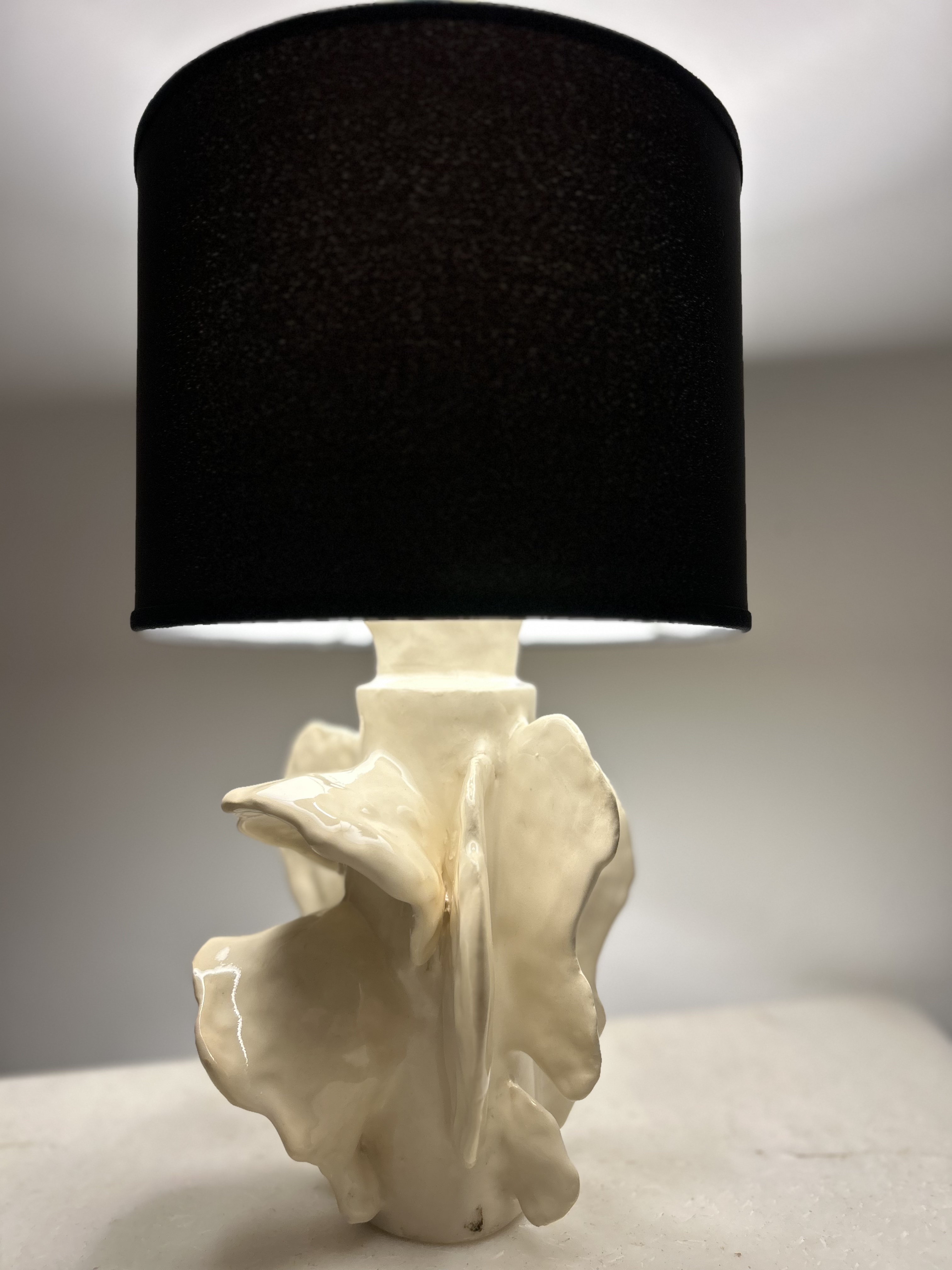 White organic ceramic lamp with black shade